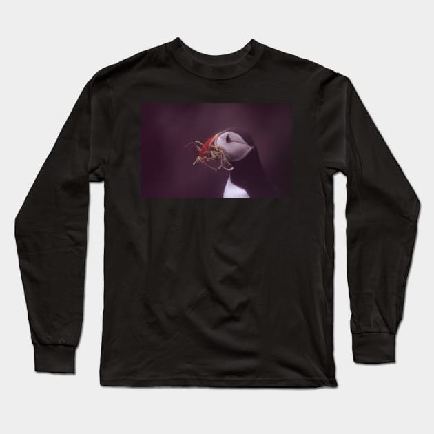 Puffin 2 Long Sleeve T-Shirt by orcadia